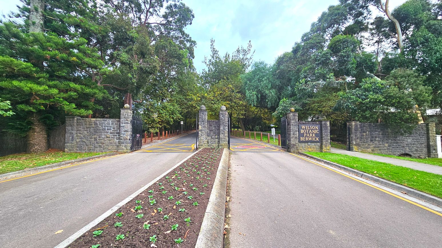 A wide entrance to Wilson Botanic Park Berwick, featuring two stone pillars with spherical tops flanking a paved road. The road is divided by a narrow, planted median strip. On the right, a stone wall with a sign reading 'Wilson Botanic Park Berwick' is visible. Tall trees with dense foliage surround the entrance, creating a natural canopy. The area feels open with a clear path leading into the park.