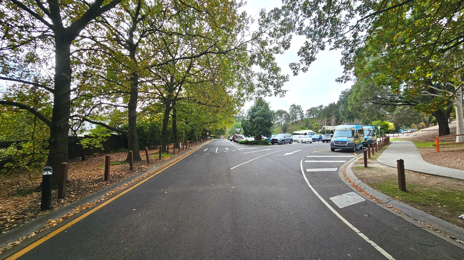 A tree-lined road curves gently to the right, bordered by a row of tall trees with green leaves on the left and a grassy area on the right. Several cars and vans are parked along the right side of the road. A paved footpath runs parallel to the road on the right, separated by wooden posts. The road surface is asphalt with white painted lines and arrows indicating traffic directions.
