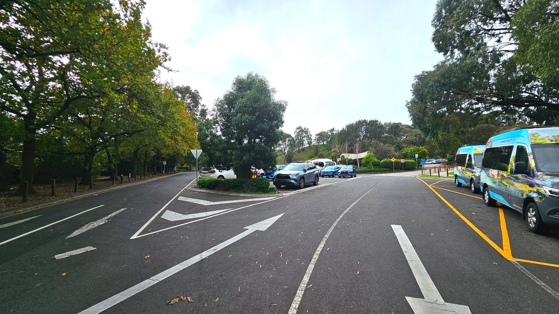 A road with two lanes diverging around a small island with a tree in the centre. The left lane is bordered by tall trees and leads into a shaded area. The right lane curves past parked vehicles, including two vans with colourful designs. The road surface is asphalt with white directional arrows and yellow markings near the vans. A yield sign is visible near the tree island, and the area is surrounded by greenery.