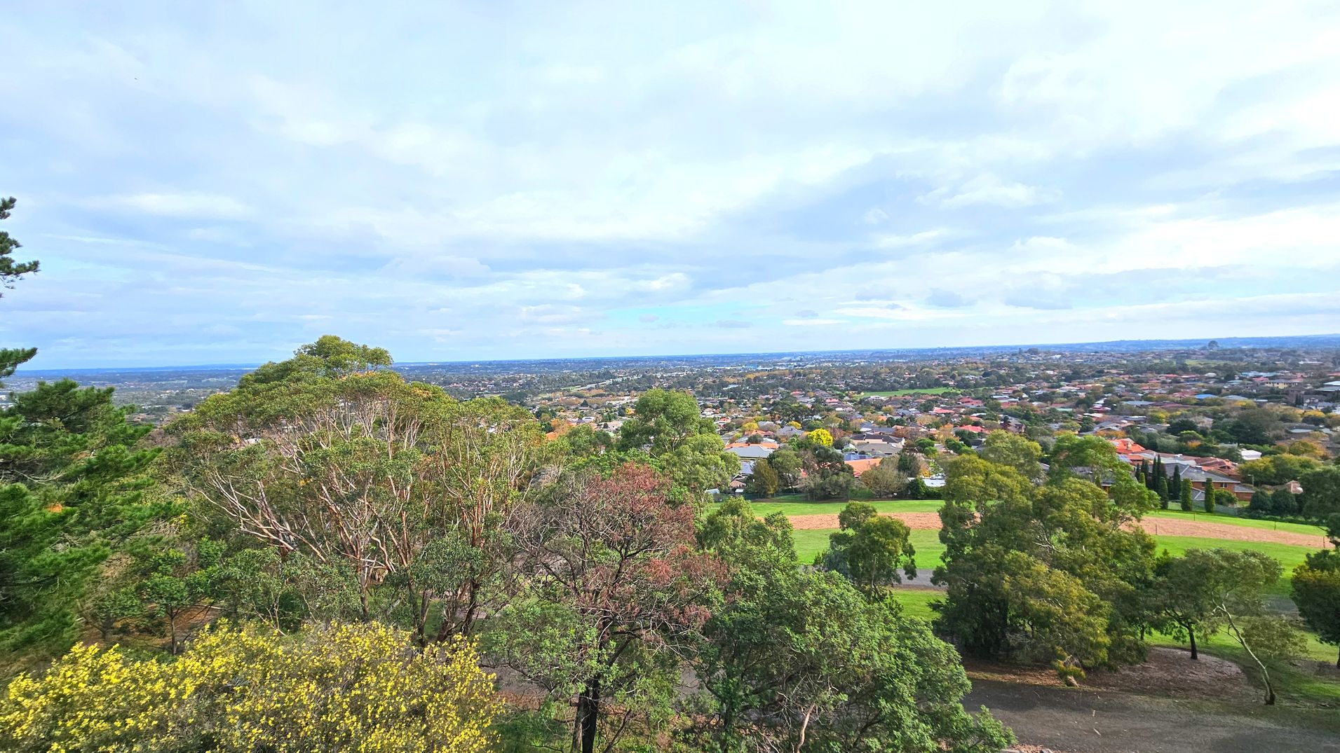A panoramic view of a suburban area with a dense cluster of trees in the foreground. The trees are a mix of green and brown, indicating a variety of species. Beyond the trees, a sprawling residential area is visible, with numerous houses and streets stretching into the distance. The landscape is mostly flat, with no significant elevation changes. The scene is open and expansive, with no visible barriers or enclosures.