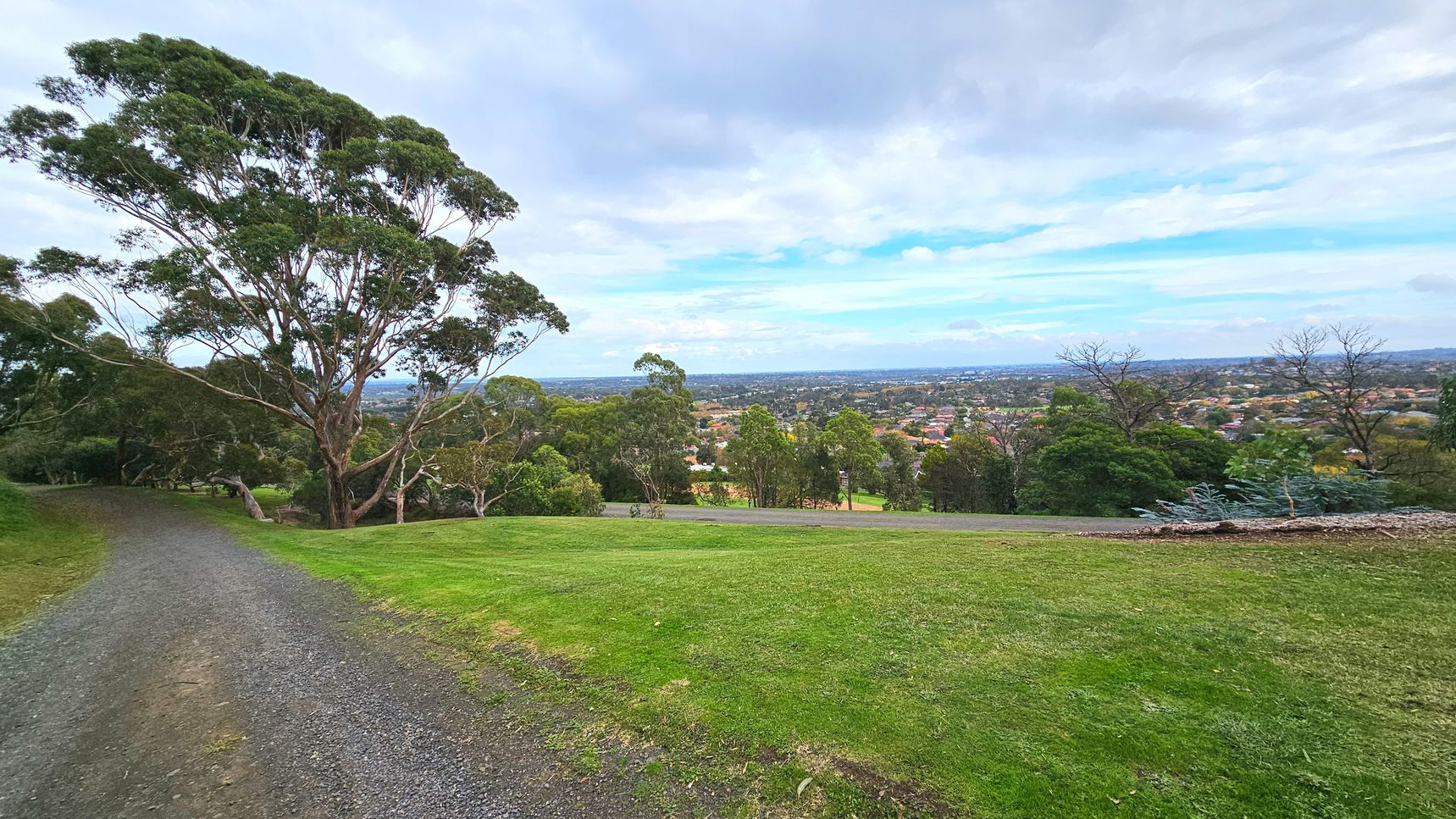 A gently sloping grassy hill with a gravel path curving to the left, bordered by tall eucalyptus trees. The foreground features a well-maintained lawn, transitioning into a panoramic view of a suburban area with numerous houses and trees. The scene is open and expansive, with no visible barriers, providing a clear view of the distant landscape.