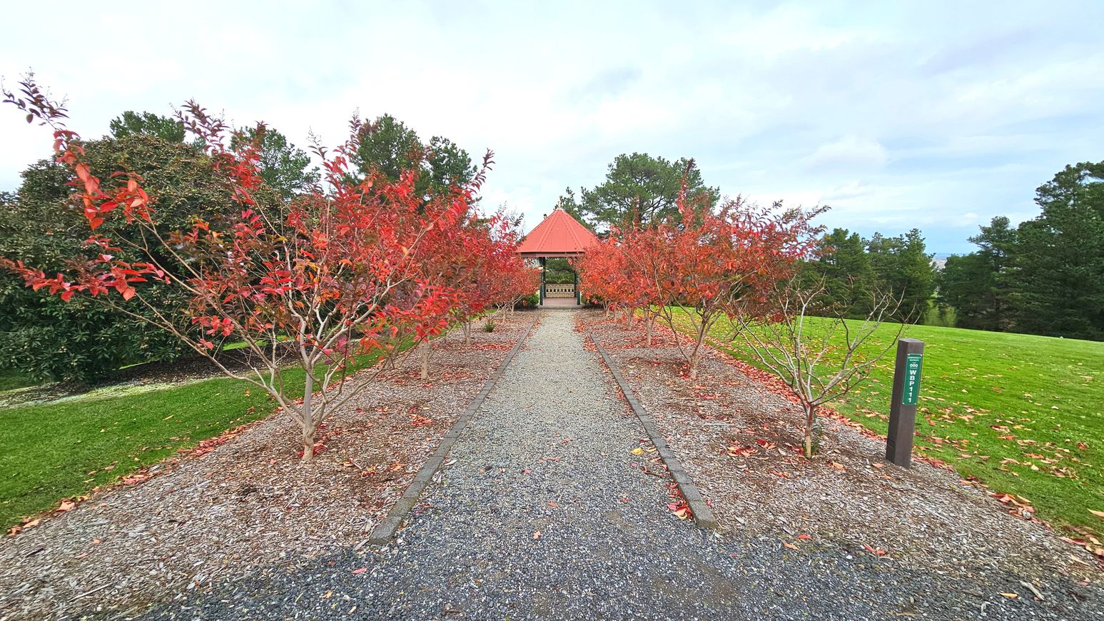 A gravel path flanked by small trees with vibrant red leaves leads to a gazebo with a red roof. The path is bordered by mulch, and a green lawn stretches to the right. A small signpost with 'WBP 1' is visible on the right side of the path. The gazebo is surrounded by taller trees, creating a sense of enclosure. The scene is symmetrical, with the path and trees forming a central axis.