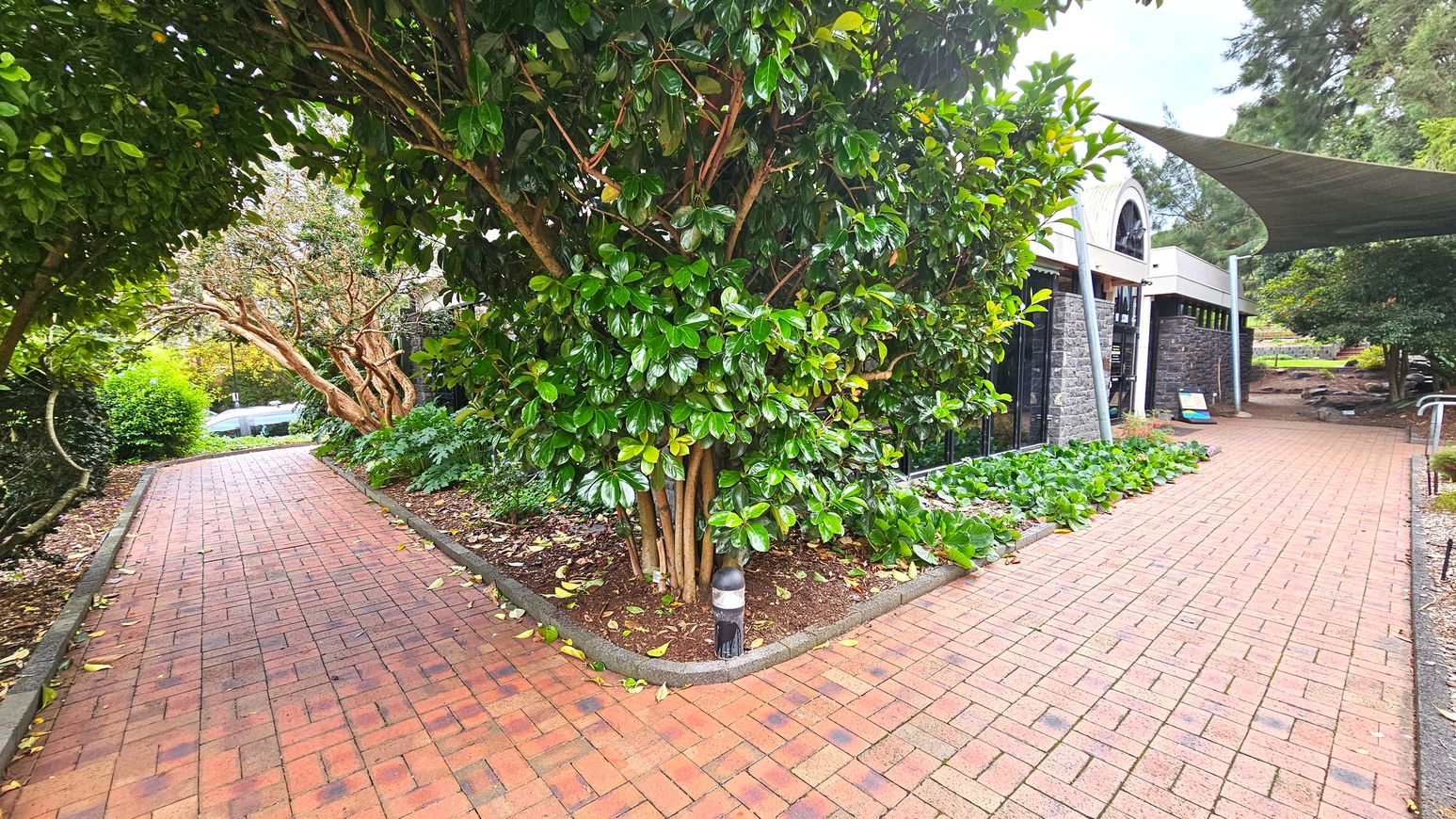 A brick pathway splits into two directions, bordered by lush greenery and trees. On the right, a stone building with arched windows and a shade sail overhead is visible. The path is lined with small plants and a low bollard light. The area feels open with trees providing partial enclosure. The surface is uniformly brick, with no visible transitions. A metal railing is present on the right side of the path.