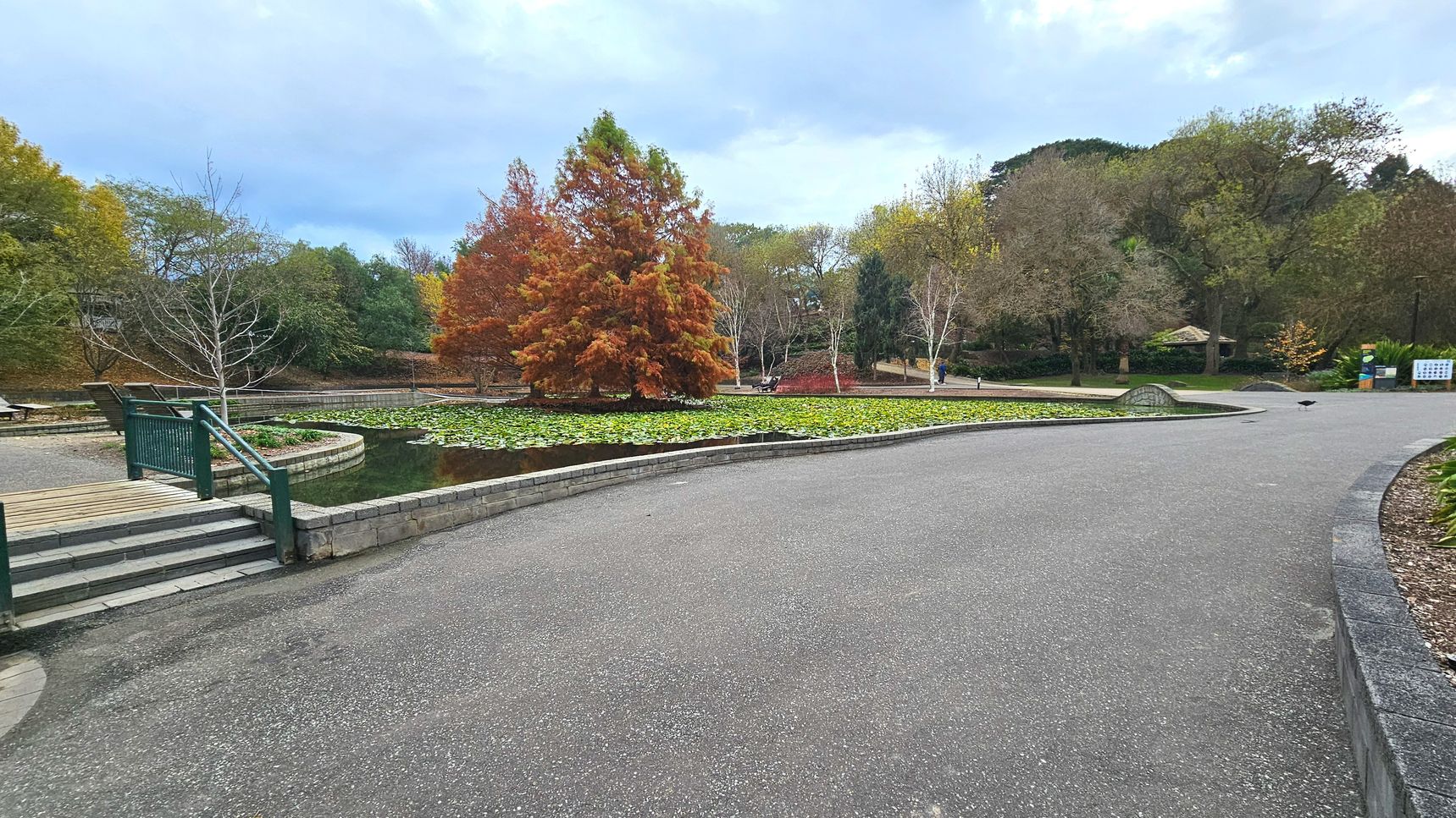 A serene park scene features a curved pathway bordered by a low stone wall on the right, leading to a pond filled with lily pads. A small arched bridge crosses the pond, surrounded by trees in autumn colours. To the left, a set of steps with green railings descends from a wooden deck. In the background, a variety of trees and a small gazebo are visible, with informational signs near the path.
