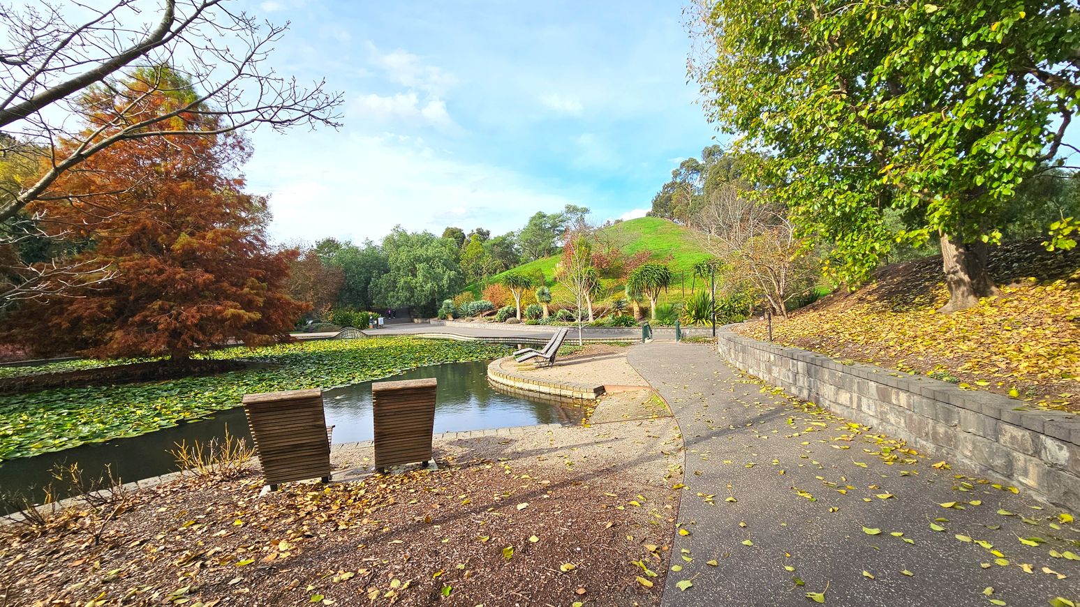 A serene park scene features a small pond with lily pads and two wooden benches facing the water. A curved stone path runs alongside the pond, bordered by a low stone wall. Trees with autumnal foliage surround the area, and a grassy hill rises in the background. The ground is scattered with fallen leaves, and the path appears to be made of asphalt transitioning to gravel near the pond.
