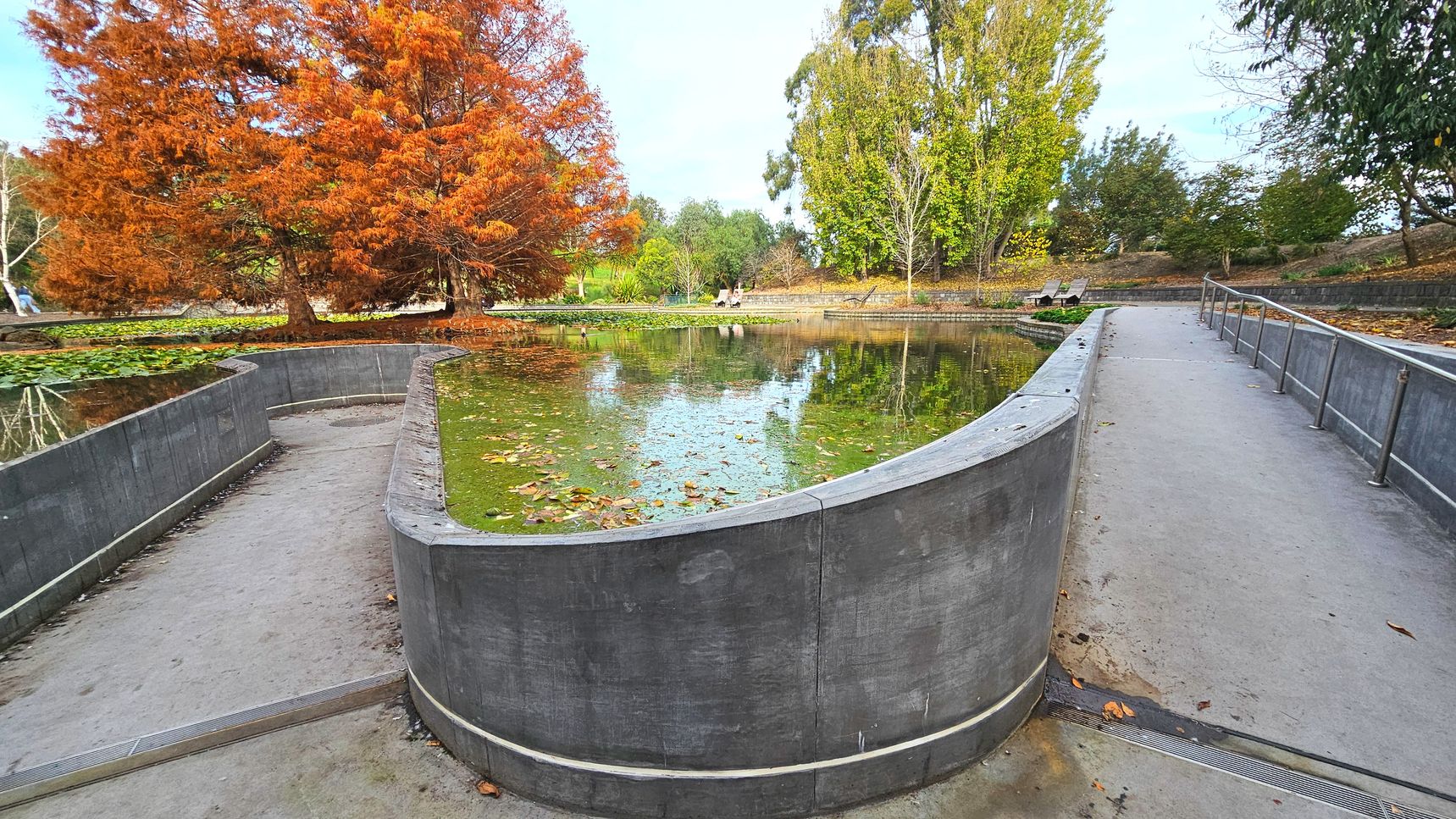 A curved concrete path with metal railings runs alongside a reflective pond filled with floating leaves. The pond is bordered by a low concrete wall. To the left, a vibrant tree with orange foliage stands out, while other green trees are visible in the background. The path is smooth and wide, suggesting accessibility. Benches are placed in the distance, providing seating areas near the water.