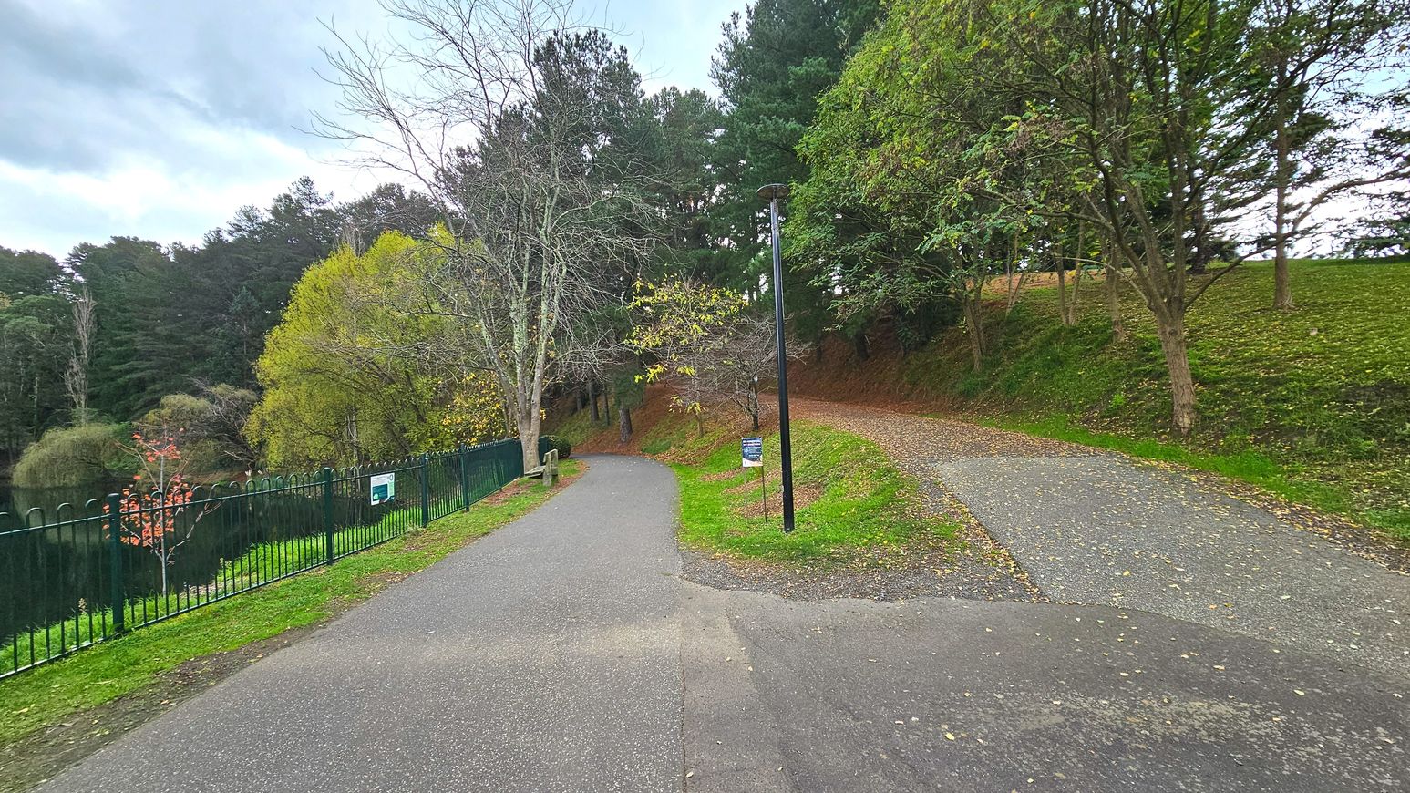 A fork in a paved path with one branch curving left, bordered by a black metal fence and trees, and the other branch veering right, lined with grass and trees. A tall lamppost stands at the fork, and a small sign is visible beside it. The area is surrounded by dense trees, creating a natural enclosure. The paths are made of asphalt, with the left path appearing slightly narrower.