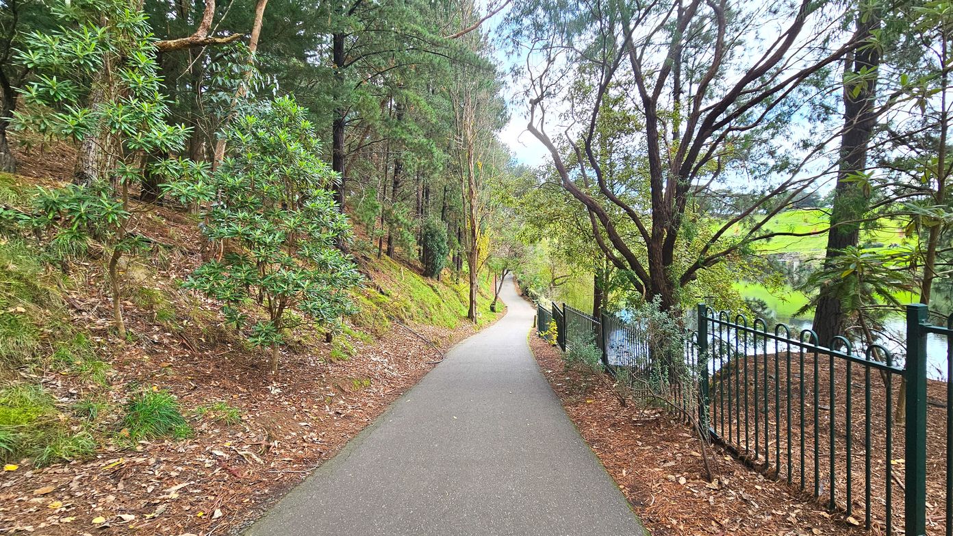 A narrow, paved path winds through a wooded area, flanked by dense trees and shrubs on the left and a black metal fence on the right. The fence borders a body of water partially visible through the trees. The ground is covered with fallen leaves and pine needles, and the path gently slopes downhill, creating a sense of depth. The area feels enclosed by the tall trees and the fence, providing a serene, natural corridor.