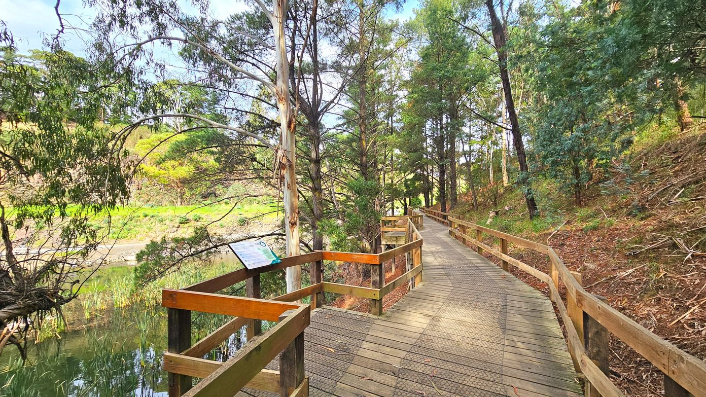 A wooden boardwalk with railings runs through a lush forested area, flanked by tall trees and dense foliage. The path curves gently to the right, with a small body of water visible to the left, bordered by reeds. A sign is mounted on the railing near the water. The boardwalk is made of wooden planks with a textured surface, providing a clear walking path through the natural setting.