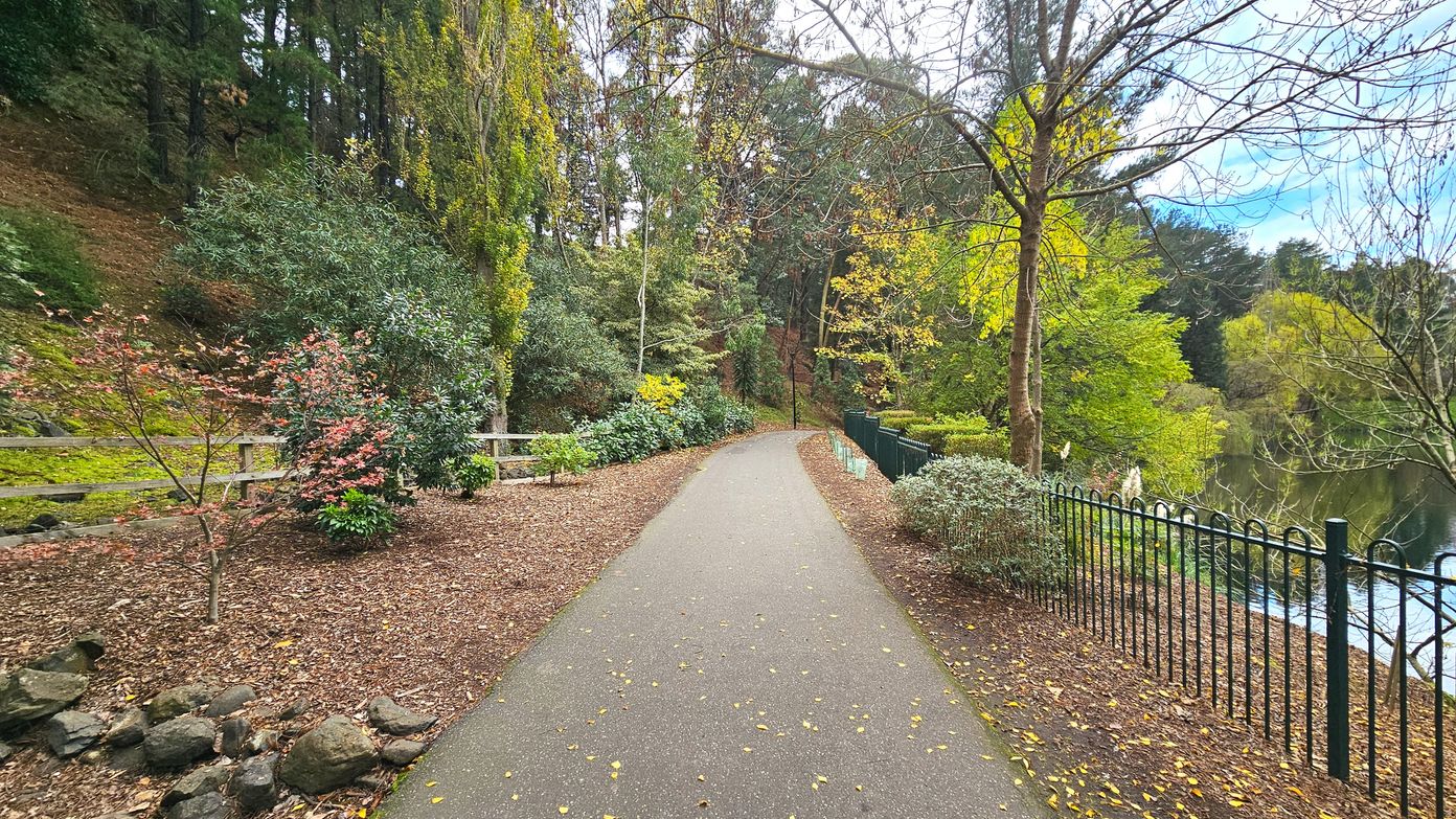 A paved path winds through a lush, wooded area with a variety of trees and shrubs on either side. On the left, a wooden fence borders the path, while on the right, a black metal railing separates the path from a body of water. The ground is covered with fallen leaves, and the path is clear and unobstructed. The area feels open with trees providing a natural canopy overhead.