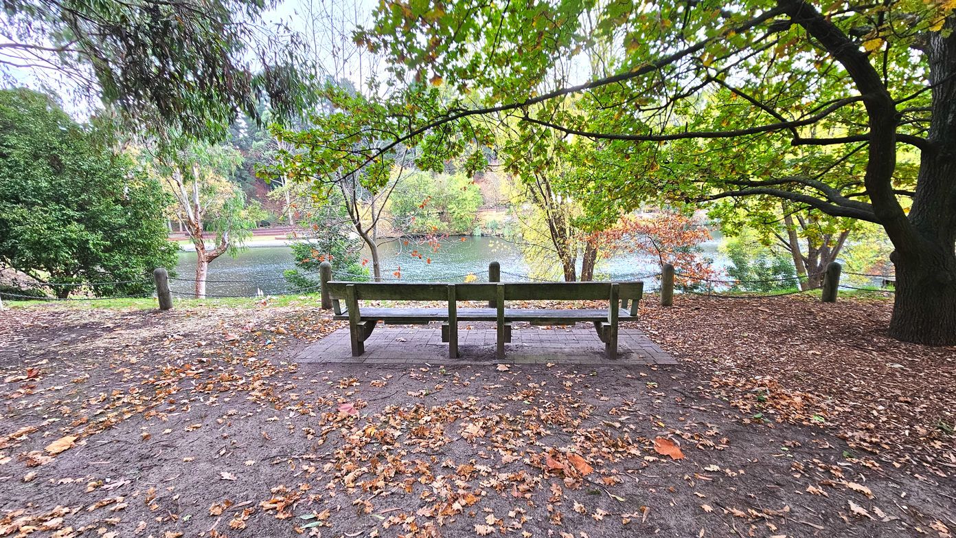 A wooden bench is positioned on a paved area surrounded by fallen autumn leaves. The bench faces a tranquil pond, partially visible through a variety of trees with green and orange foliage. The area is bordered by wooden posts connected by a rope, creating a subtle boundary. The ground is a mix of dirt and scattered leaves, with a large tree on the right providing shade.