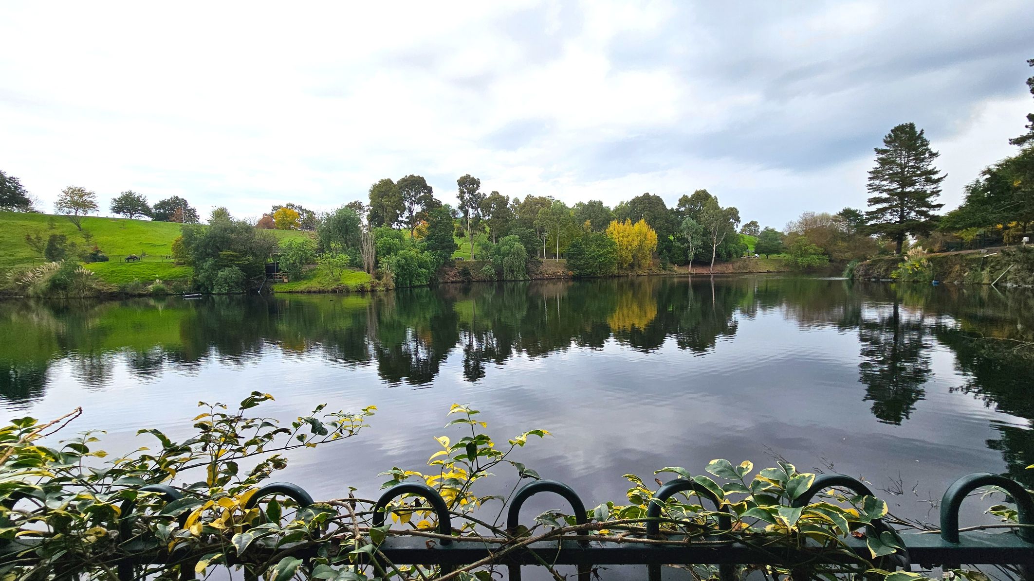 A tranquil lake is bordered by lush greenery and trees, their reflections mirrored in the still water. In the foreground, a decorative metal fence with circular patterns is partially covered by leafy plants. The landscape across the lake features a grassy hill with scattered trees, adding depth to the scene. The area feels open and natural, with no visible structures or pathways interrupting the view.
