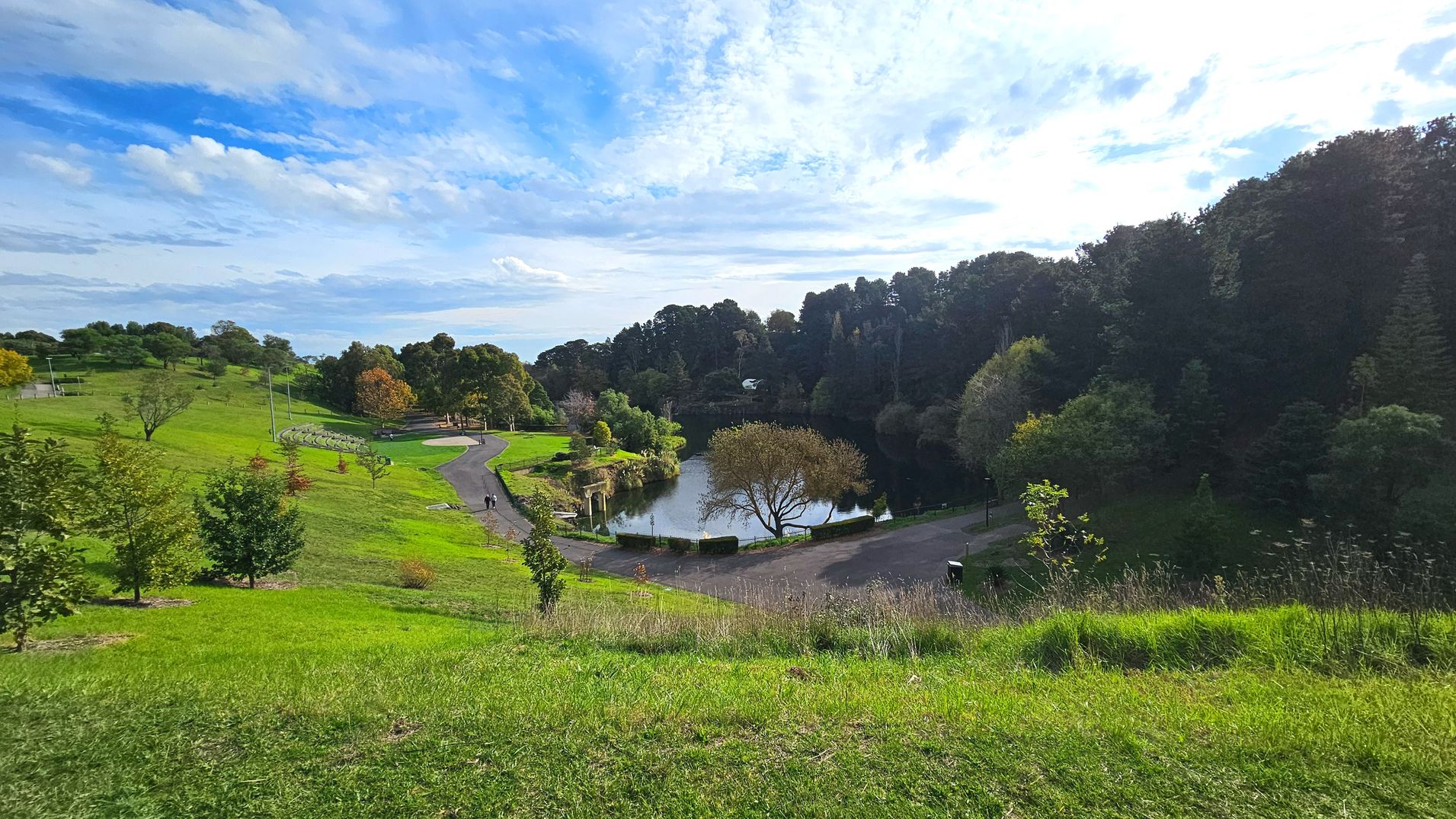A scenic park landscape featuring a gently sloping grassy hill leading down to a small lake surrounded by dense trees. A paved path curves through the grassy area, with a few scattered young trees along its edge. The lake is bordered by a low stone wall, and a single tree stands prominently near the water. The area feels open with expansive grassy fields and a backdrop of thick forested areas.