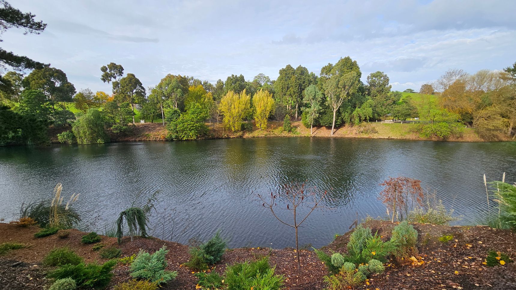 A serene lake is bordered by a variety of lush trees and shrubs, with a grassy bank on the opposite side. The water is calm, reflecting the greenery around it. In the foreground, there are small bushes and plants on a sloped, earthy surface leading down to the water. The area feels open, with no visible barriers, and the landscape is gently undulating with a mix of deciduous and evergreen trees.