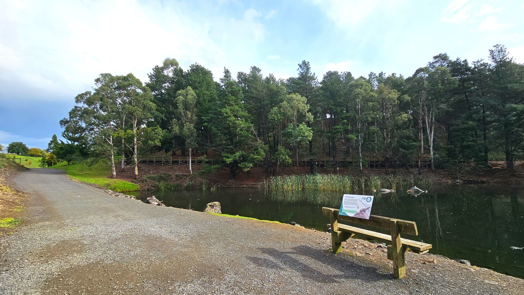A gravel path curves gently alongside a tranquil pond bordered by tall trees. A wooden bench with a sign is positioned near the water's edge, offering a resting spot. The pond is surrounded by reeds and the dense forest provides a natural backdrop. The area feels open with grassy patches and a slight incline leading away from the path. The scene is serene and natural, with no visible structures beyond the bench and sign.