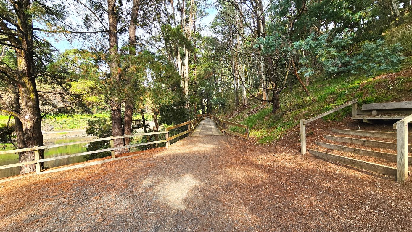 A gravel path leads through a wooded area, flanked by tall trees with dense foliage. On the left, a wooden fence runs parallel to a river, visible through the trees. On the right, a set of wooden steps ascends a grassy slope. The path continues straight ahead, bordered by wooden railings, creating a sense of direction and enclosure. The area is shaded by the tree canopy, with dappled sunlight on the ground.