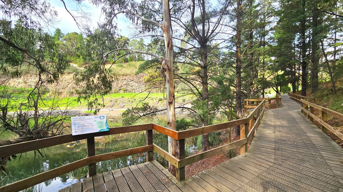 A wooden boardwalk with railings runs through a wooded area, curving gently to the right. Tall trees with slender trunks and sparse foliage line the path, providing a natural canopy. To the left, a sign with information is mounted on the railing, overlooking a calm body of water with reeds. The ground beyond the water is grassy and slopes upward, bordered by a rocky embankment.