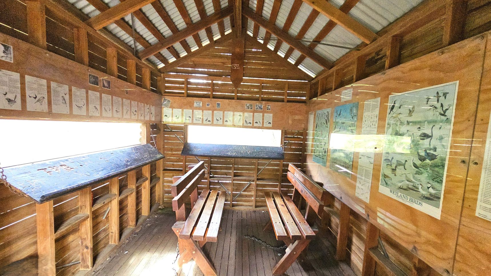 A wooden birdwatching hide with a sloped roof and open slats for viewing. Inside, there are two wooden benches facing a long, narrow viewing window with a slanted ledge. The walls are adorned with various bird identification posters and informational sheets. The floor is wooden, and the space feels enclosed yet airy due to the slatted design. The roof is supported by visible beams.