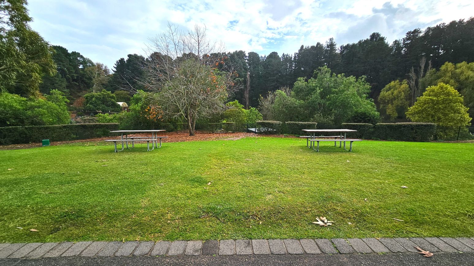 A grassy area with two metal picnic tables, each with attached benches, is set on a well-maintained lawn. The tables are positioned near a leafless tree surrounded by mulch. Dense greenery, including tall trees and shrubs, forms a natural boundary at the back. A paved path with a brick edge runs along the foreground, providing a clear transition from the grass. The area feels open and inviting for outdoor activities.