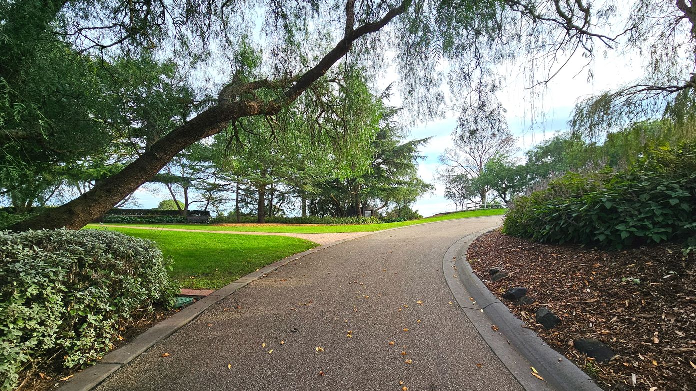 A gently curving path made of smooth, light brown asphalt winds through a lush garden. On the left, a large, arching tree branch extends over the path, with dense green foliage and a manicured hedge below. To the right, a mulched area with small shrubs lines the path. In the background, tall trees and a grassy area create a natural boundary, with a small sign visible among the trees.